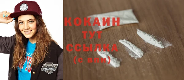 тгк Алексин